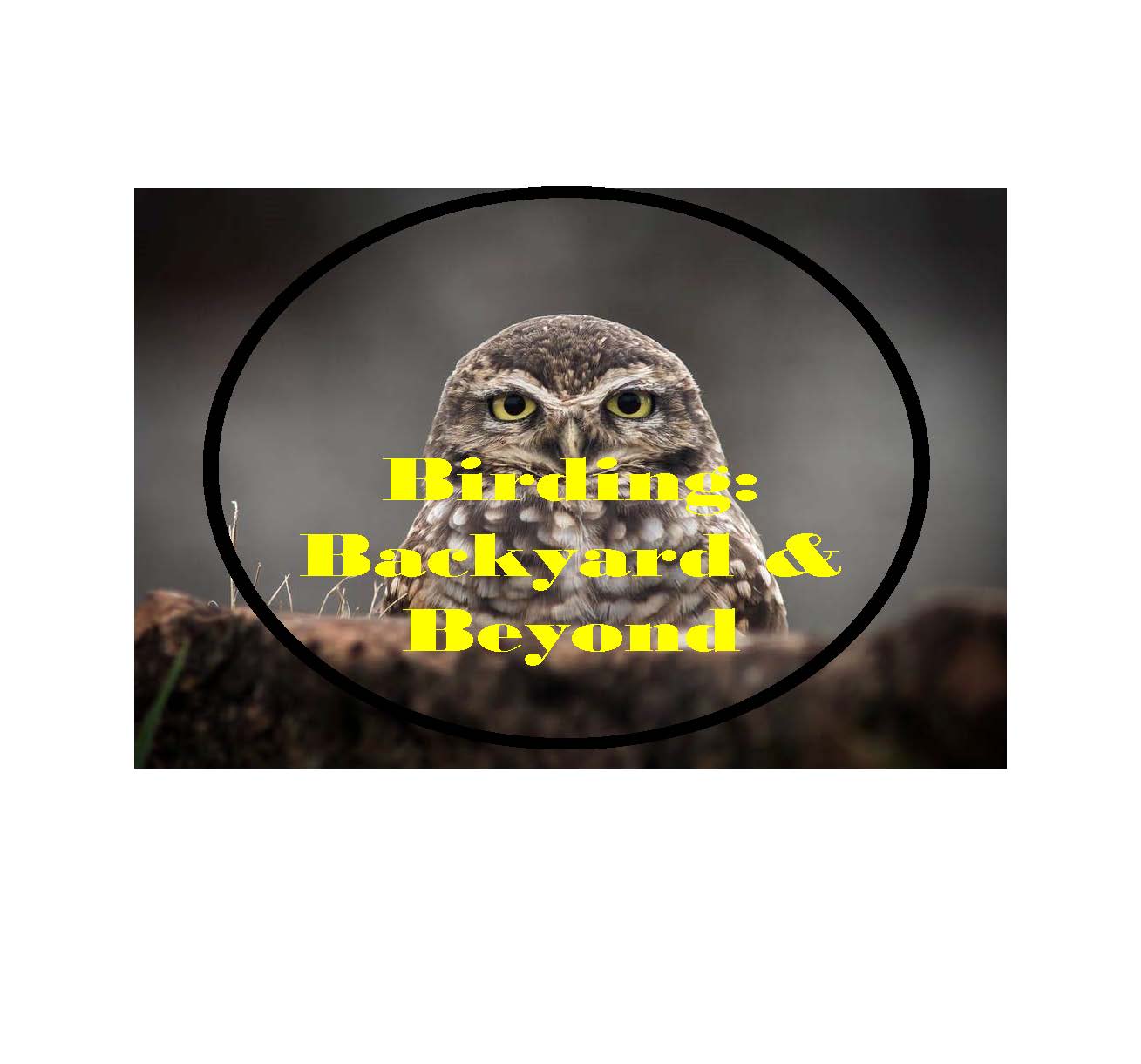 Birding: Backyard & Beyond logo